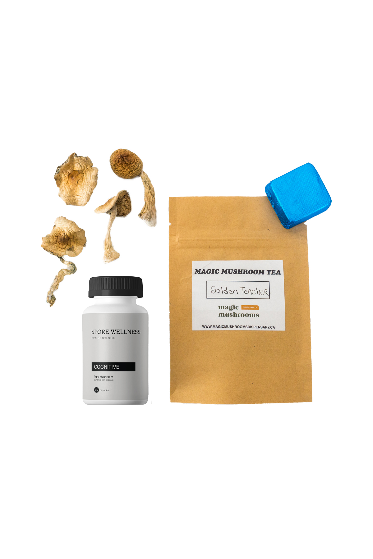 First Timer Magic Mushroom Kit.