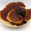 Discover the Benefits of Reishi Mushrooms