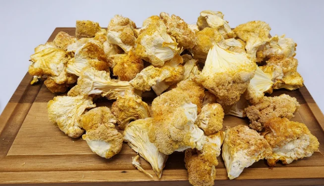 Enjoy the Versatility and Health Benefits of Dried Lion's Mane Mushrooms