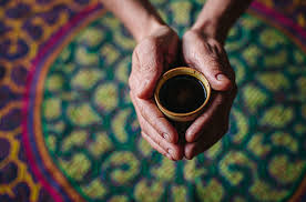 Ayahuasca